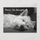 Buscar westies postales Ruinas
