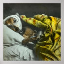 Buscar perros del galgo arte General y unisex