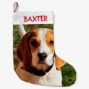 Buscar beagles calcetines navideños Para mascotas