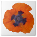 Buscar amapola azulejos Naranja
