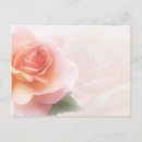 Buscar delicadas postales Rosa