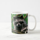 Buscar bandido tazas Mapache