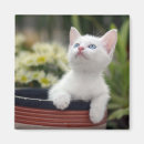 Buscar para jugar imanes Gatito