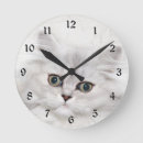 Buscar del gato persa arte Foto