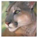 Buscar puma azulejos Nadie