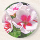 Buscar geranio rojo posavasos Floral