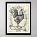 Buscar gallo vintage posters General y unisex