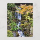 Buscar agua borrosa postales Planta
