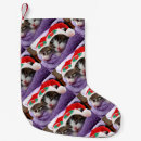 Buscar gatito calcetines navideños Adorable
