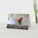 Buscar silencio postales Naturaleza