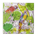 Buscar loros azulejos Selva