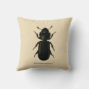 Buscar beetle cojines Biología