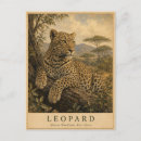 Buscar vintage leopard postales Para todos