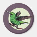 Buscar colibrí imanes Flor