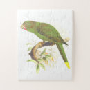 Buscar loro puzzles Naturaleza