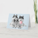 Buscar huskie postales Cumpleaños