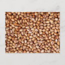 Buscar pistachio postales Alimento