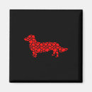 Buscar dachshund imanes Valentina
