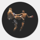 Buscar muay thai pegatinas Tailandés