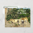 Buscar durmiendo postales Foto