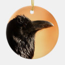 Buscar cuervo adornos Animales