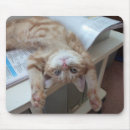 Buscar gato del jengibre alfombrillas de raton Felino