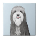 Buscar perro del collie azulejos Para todos