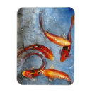 Buscar koi imanes Animales