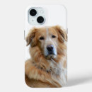 Buscar golden retriever iphone fundas Foto