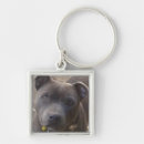 Buscar staffy llaveros Staffordshire