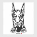 Buscar doberman pegatinas parachoque Raza