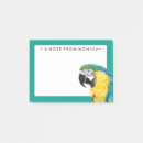 Buscar coloful Parrott coloful