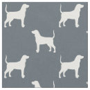 Buscar coonhound Bluetick coonhound