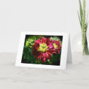 Buscar dali tarjetas Verde