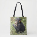 Buscar primate bolsos Fotografía
