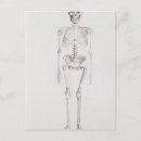 Buscar la evolución del hombre postales Extinto