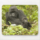Buscar gorilla alfombrillas de raton Vida silvestre