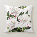 Buscar azalea cojines Floral