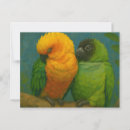 Buscar loros postales Aves tropicales