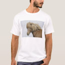 Buscar mamífero hombre ropa Viajar
