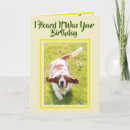 Buscar ventajas postales Divertido