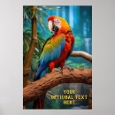 Buscar loros posters Machacar