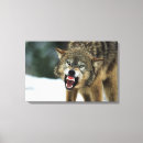 Buscar gruñido arte Fauna