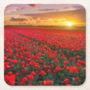 Buscar tulipanes posavasos Primavera