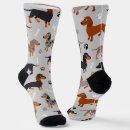 Buscar huesos ropa Patas