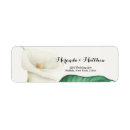 Buscar lirios de pascua blancos postales Verde
