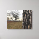 Buscar parque de estado arte Fotografía