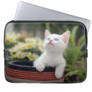 Buscar gatito fundas Animales del bebé
