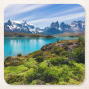 Buscar chile posavasos Patagonia