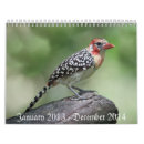 Buscar pájaros calendarios 2014